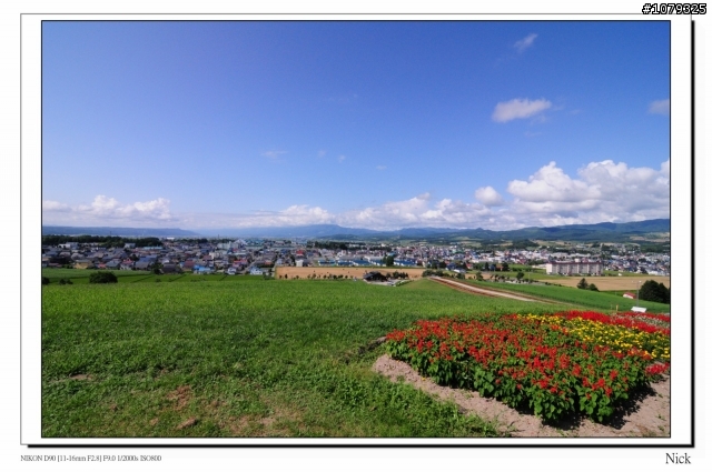 D90 18-105+ T116 北海道八天七日遊