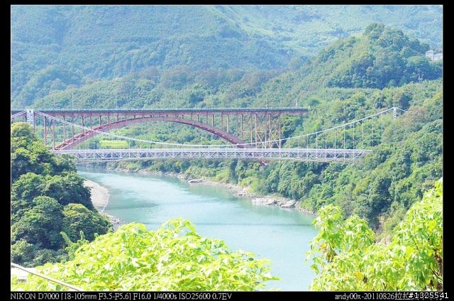 拉拉山單車森林浴之旅