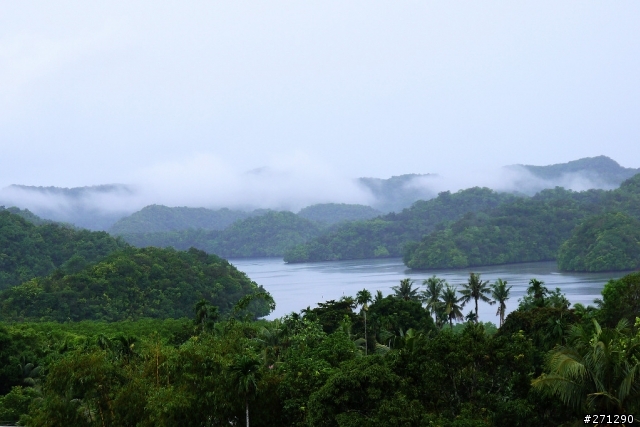 [分享]I left my heart in Palau