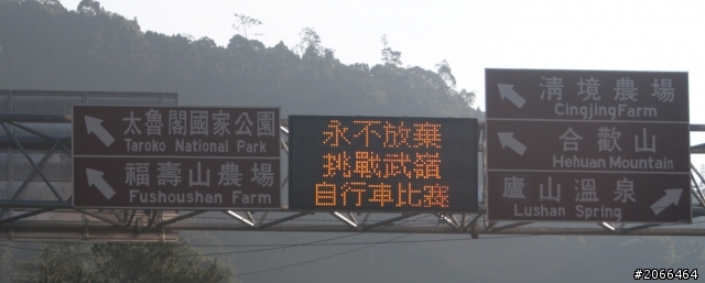 2011 ●  跳 跳 虎 在 武 嶺 ● 照片再次呈獻 08/26上傳