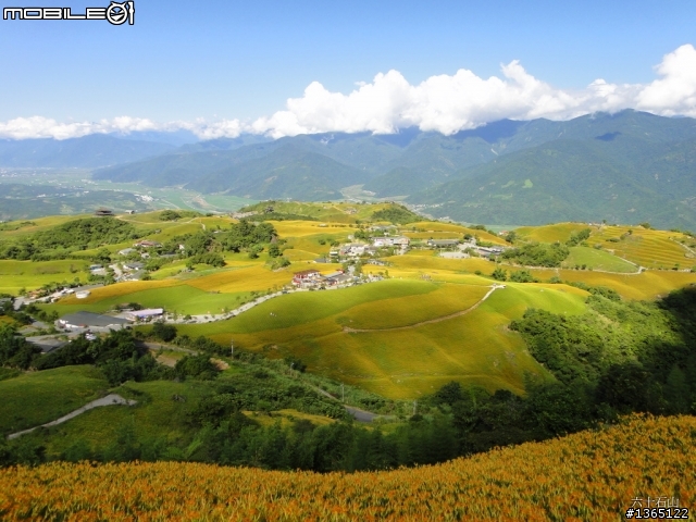 六十石山-金針花海~ 世界末日前一定要來一次的!