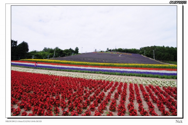 D90 18-105+ T116 北海道八天七日遊