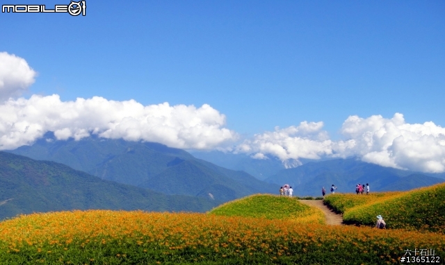 六十石山-金針花海~ 世界末日前一定要來一次的!