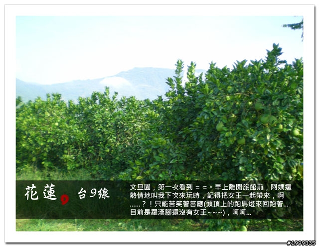 機車環島走跳行之初探-以本島民用機場為例-06