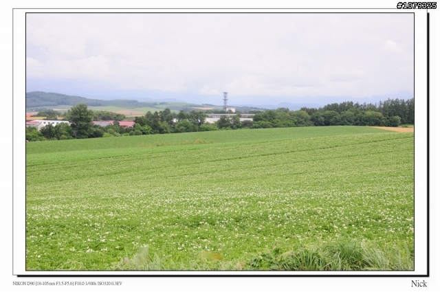 D90 18-105+ T116 北海道八天七日遊