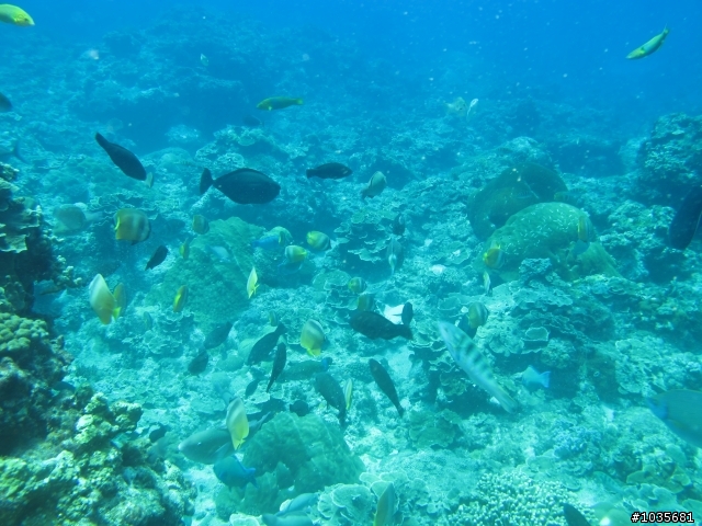 【分享】碧海藍天綠島行