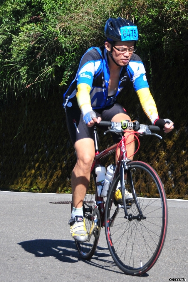 2011 ●  跳 跳 虎 在 武 嶺 ● 照片再次呈獻 08/26上傳