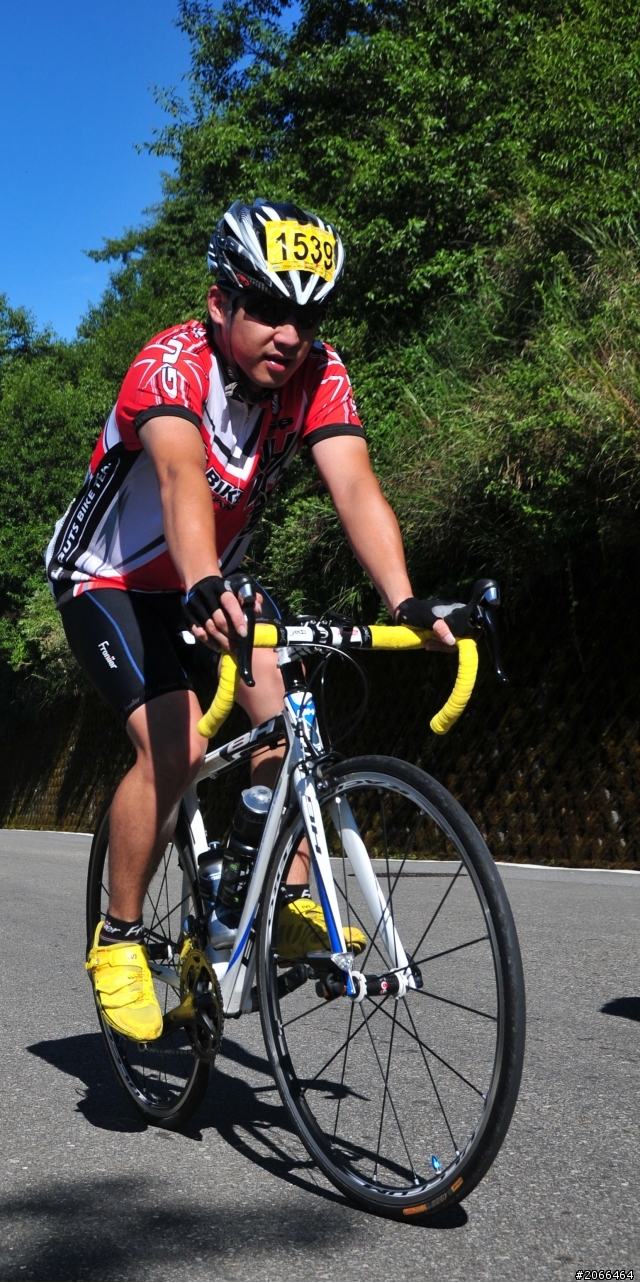 2011 ●  跳 跳 虎 在 武 嶺 ● 照片再次呈獻 08/26上傳