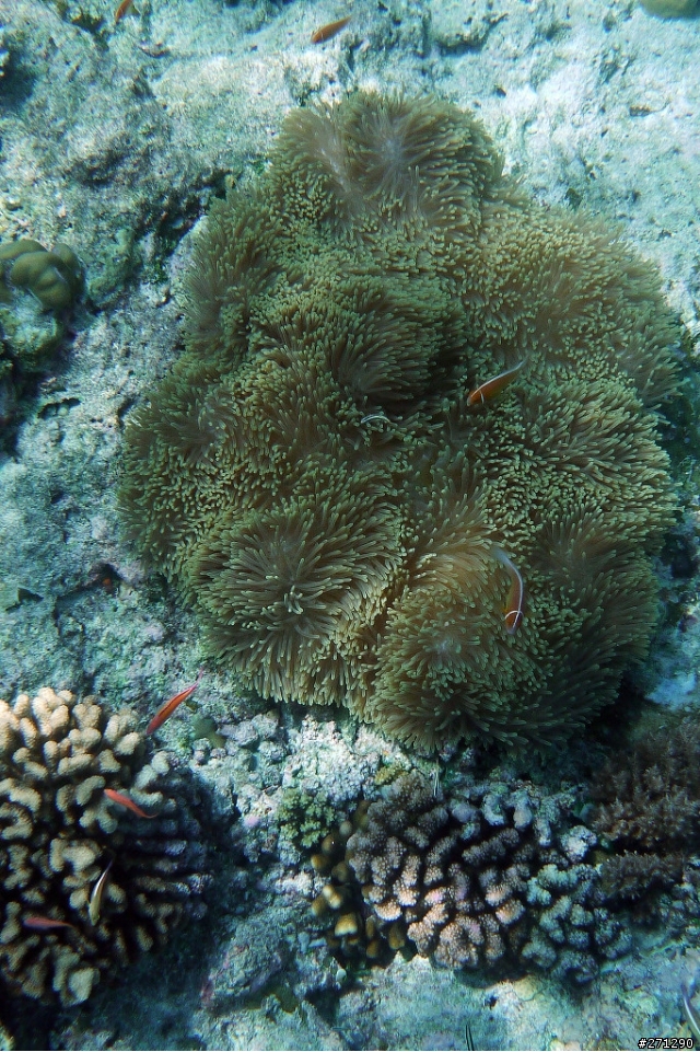 [分享]I left my heart in Palau