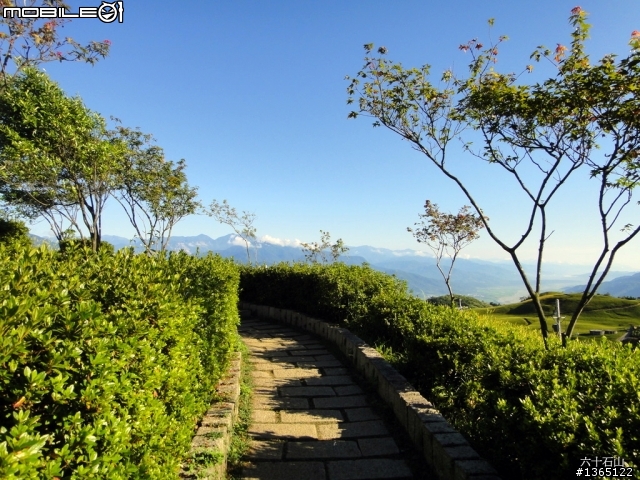 六十石山-金針花海~ 世界末日前一定要來一次的!