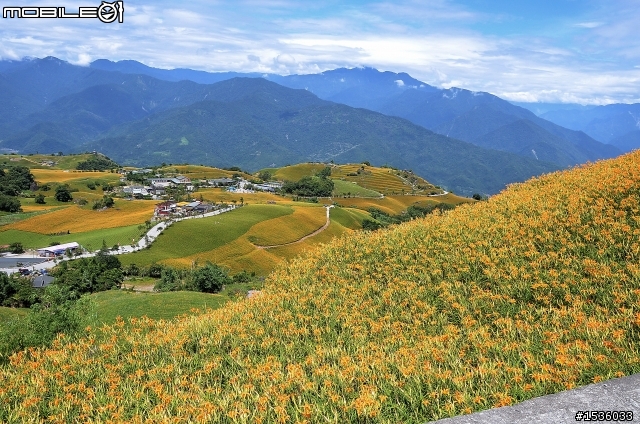 Luxgen定速行駛在長陡坡情形下可能超速，請善用手排第4檔降速，並再度介紹台東鹿野高台熱氣球及花蓮富里六十石山金針花。