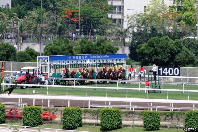 結城正美的賤馬也瘋狂的一些東西