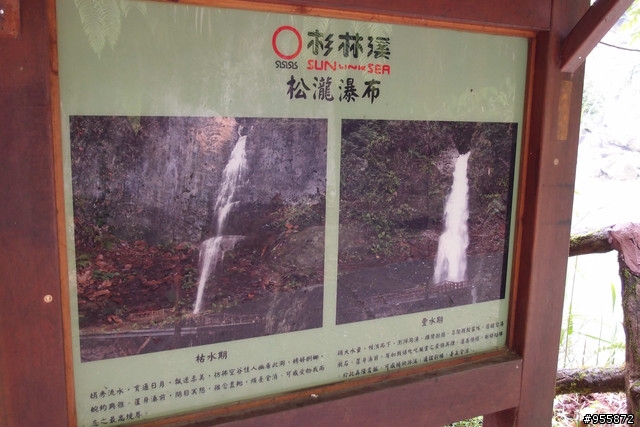 (景點) 南投 杉林溪