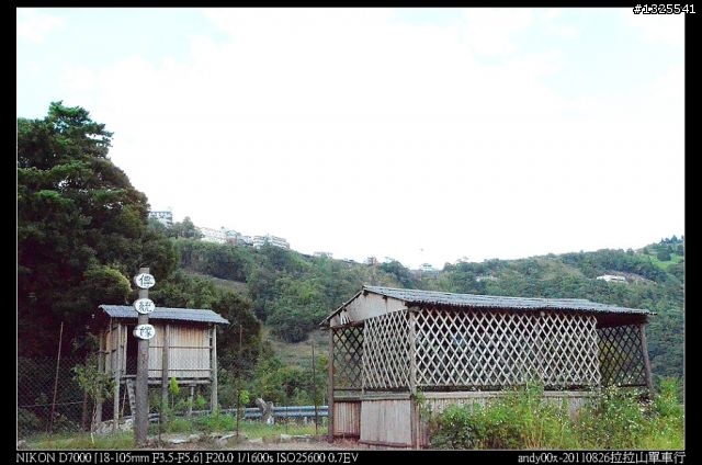 拉拉山單車森林浴之旅