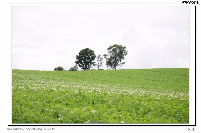 D90 18-105+ T116 北海道八天七日遊