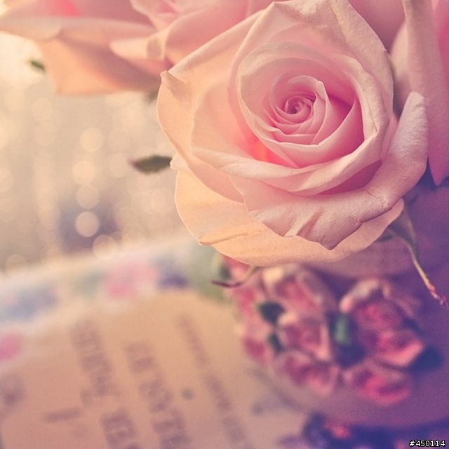 請問一下這照片的是如何拍出來的?