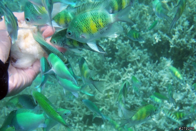 [分享]I left my heart in Palau