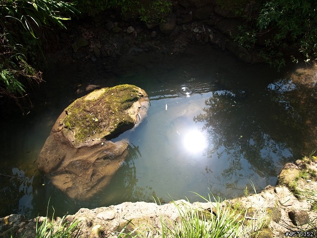 [景點分享]少了桐花卻多了靜肅美的土城承天禪寺步道