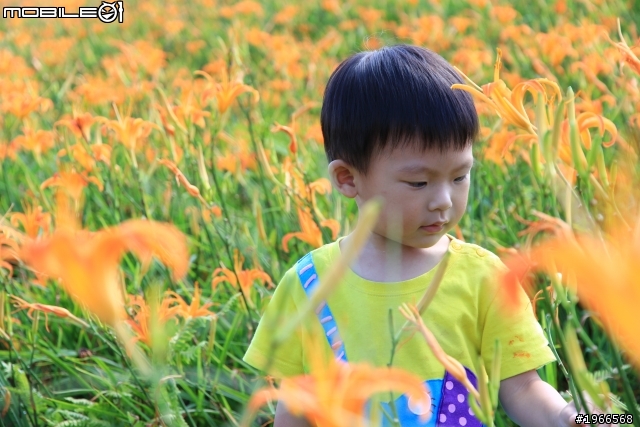 2011六十石山特輯-BY 60D