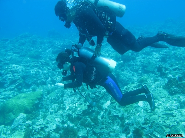 【分享】碧海藍天綠島行