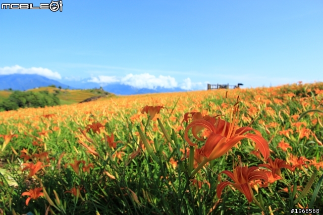 2011六十石山特輯-BY 60D