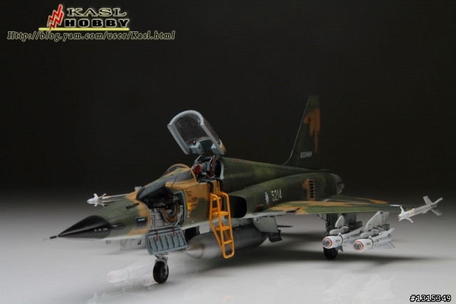[作品分享]建國百年特輯 猛虎出閘 1/48 F-5E系列特輯