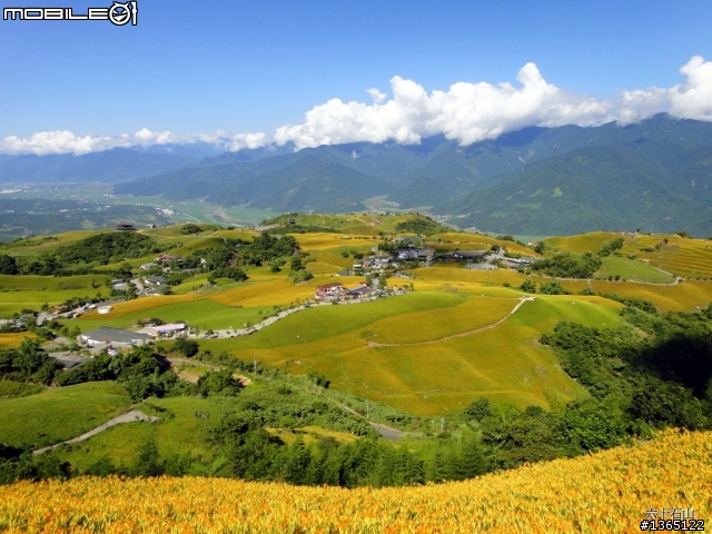 六十石山-金針花海~ 世界末日前一定要來一次的!