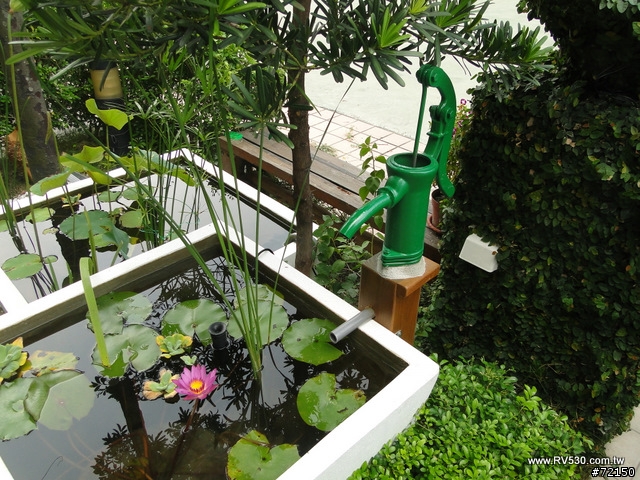 花園 [ 荷花生態缸 ] 防水施工全記錄
