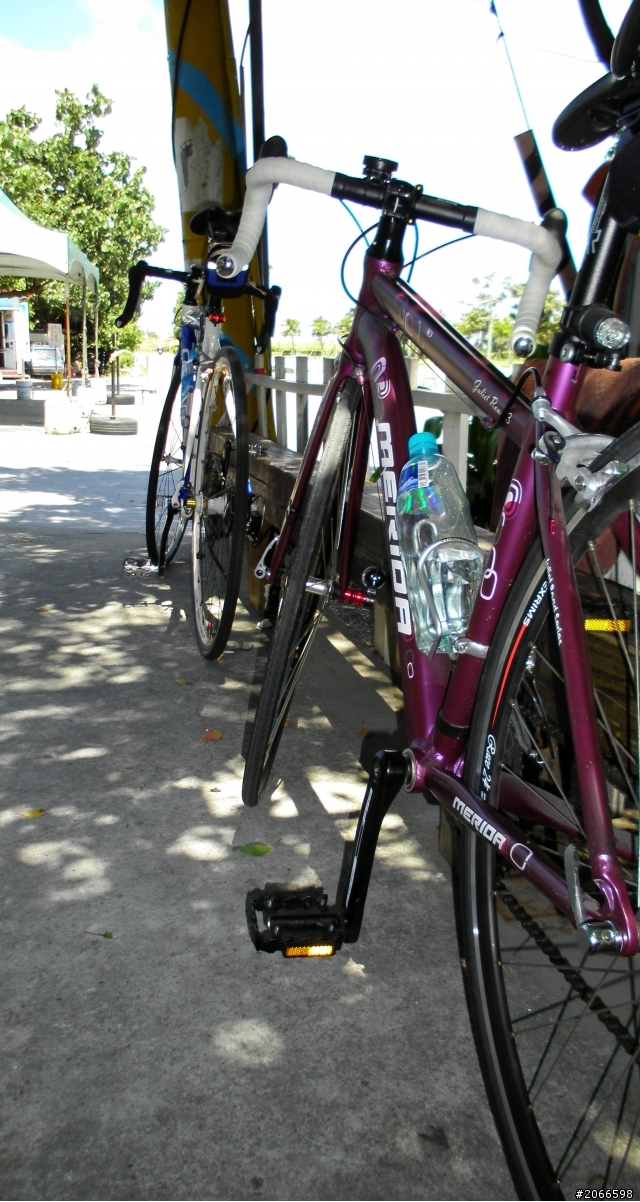 分享我跟女王的車!