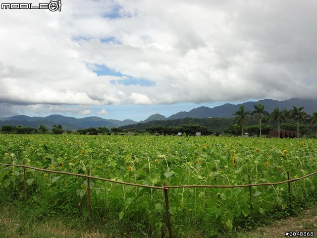 [7/14-Day5]民國100年吃吃吃騎車看風景大環島