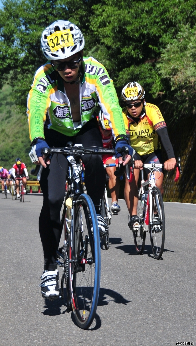 2011 ●  跳 跳 虎 在 武 嶺 ● 照片再次呈獻 08/26上傳