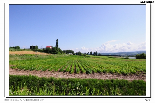 D90 18-105+ T116 北海道八天七日遊