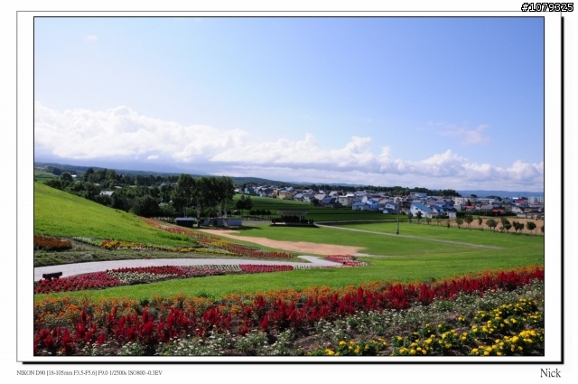 D90 18-105+ T116 北海道八天七日遊