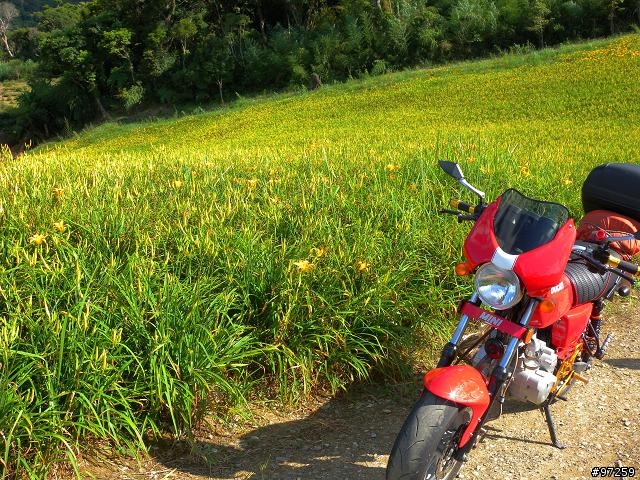 2011/08/16~18  大男子3天3夜環半島 赤科山+六十石山賞金針遊記分享