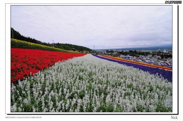 D90 18-105+ T116 北海道八天七日遊