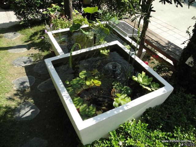花園 [ 荷花生態缸 ] 防水施工全記錄