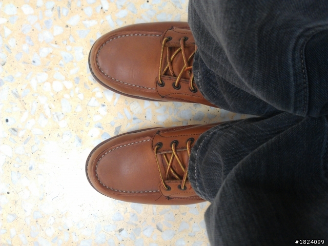 分享我最愛的 Red Wing 紅翅膀~