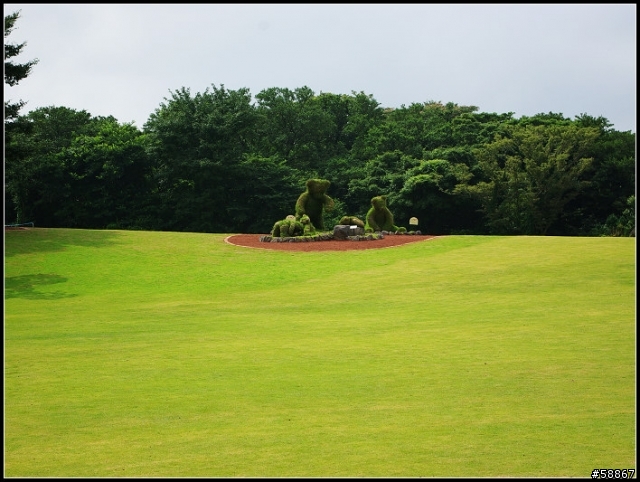 濟州島(JEJU)-2011暑