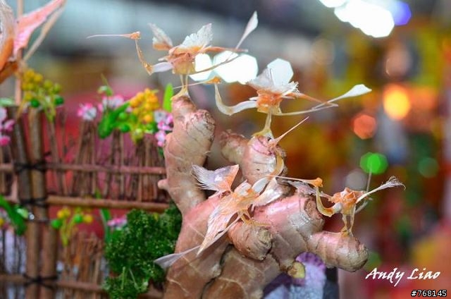 分享~Nikon D5100虎尾中元祭