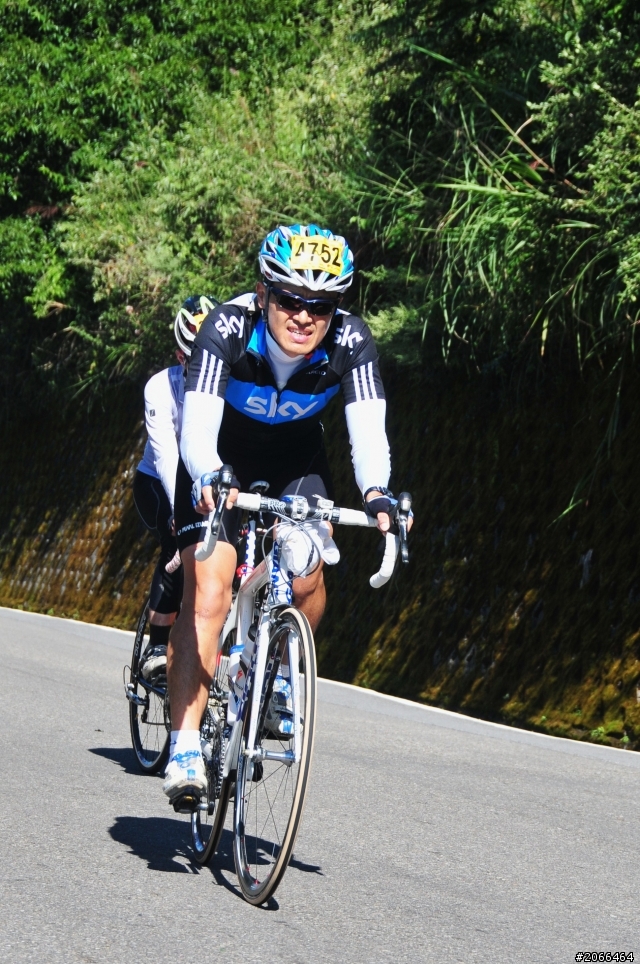 2011 ●  跳 跳 虎 在 武 嶺 ● 照片再次呈獻 08/26上傳