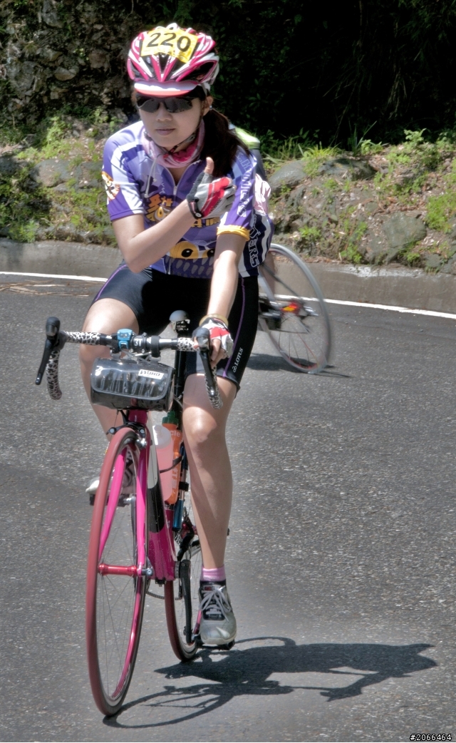 2011 ●  跳 跳 虎 在 武 嶺 ● 照片再次呈獻 08/26上傳