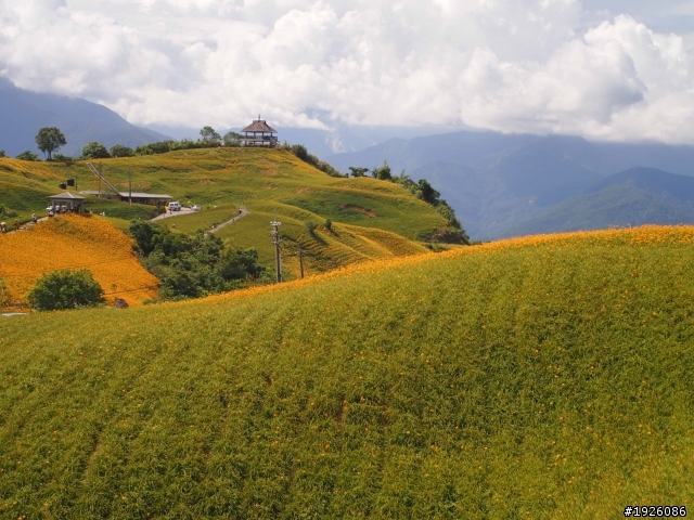 哈雷-花東之旅(197縣道/六十石山/布洛灣)20110819-21