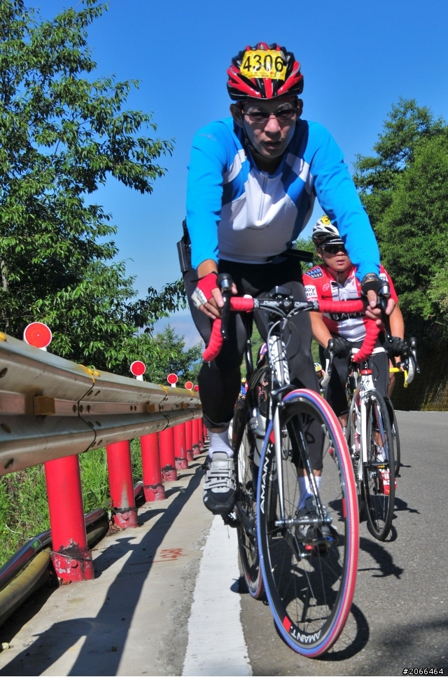 2011 ●  跳 跳 虎 在 武 嶺 ● 照片再次呈獻 08/26上傳