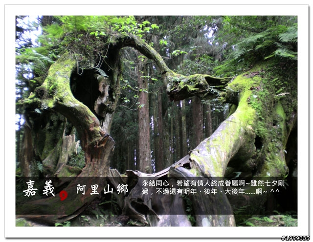 機車環島走跳行之初探-以本島民用機場為例-09