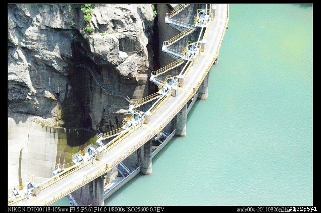 拉拉山單車森林浴之旅