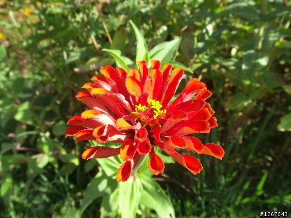 千呼萬喚始出來~BenQ P1410開箱