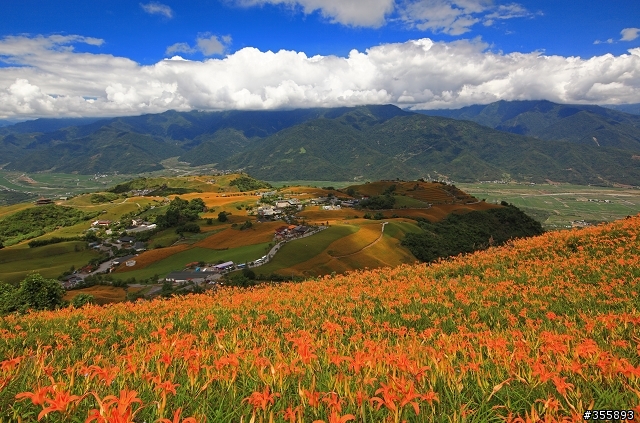 [5D2] 六十石山~金針花海
