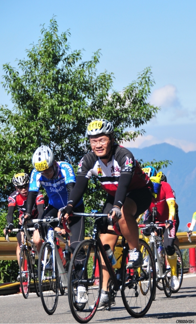 2011 ●  跳 跳 虎 在 武 嶺 ● 照片再次呈獻 08/26上傳