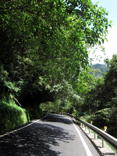 北橫