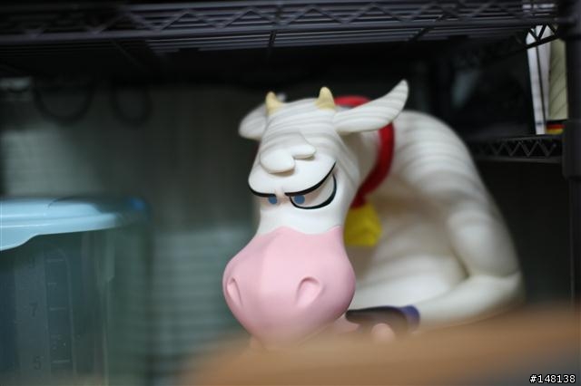 請問各位大大,相片有移焦嗎?